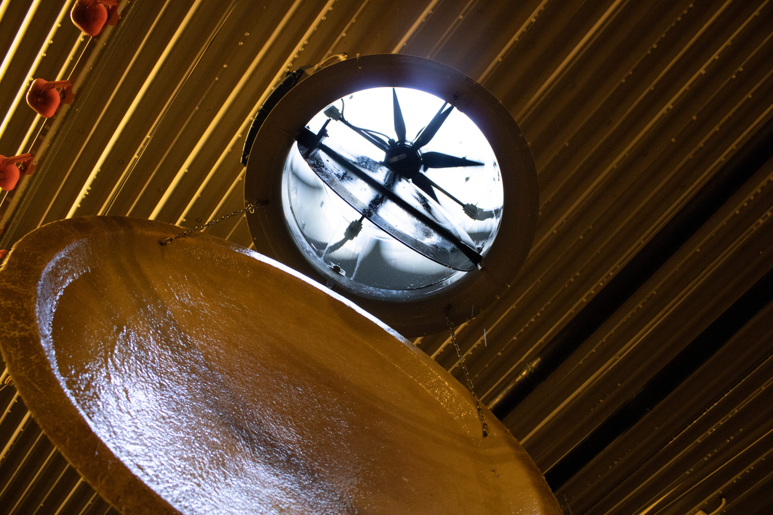 Tehopesu T.Leppänen Oy, kanalan katto.