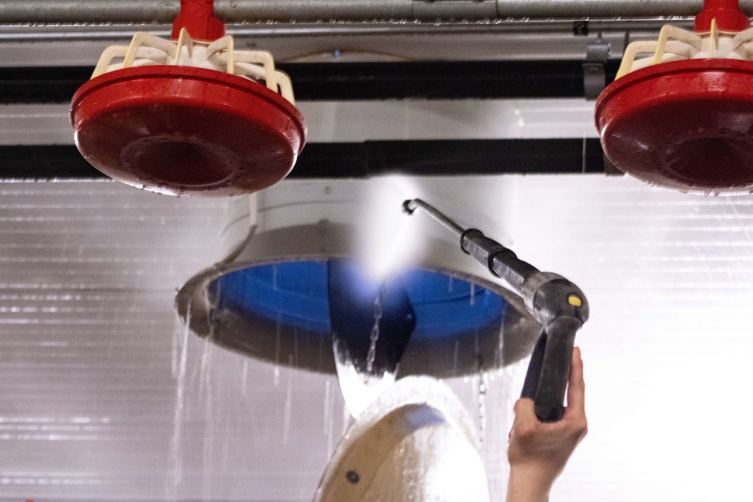 Eläinsuojien pesut ja desinfionnit. Tehopesu T Leppänen Oy broilertilan sisäpesu.